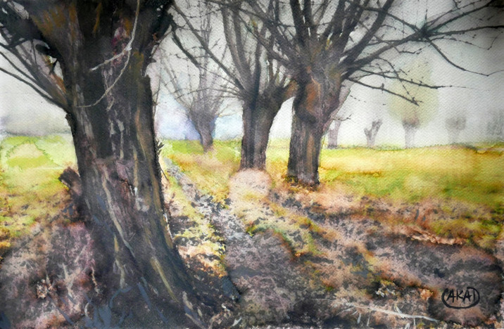 Ślefarski Adam, wierzby 2 akwarela 30x45cm, 2023